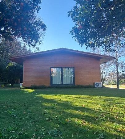 Faldejaes Casa Da Ferreirinha旅馆 外观 照片
