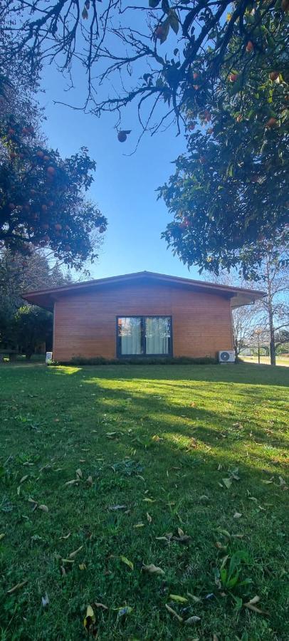 Faldejaes Casa Da Ferreirinha旅馆 外观 照片